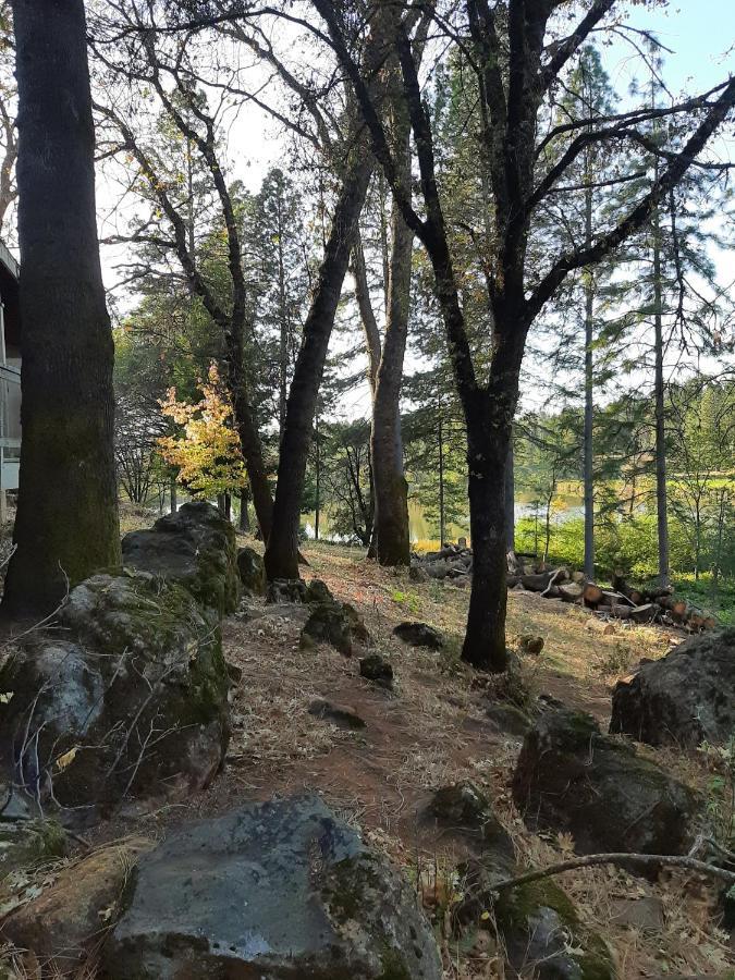Alta Sierra Village Inn غراس فالي المظهر الخارجي الصورة